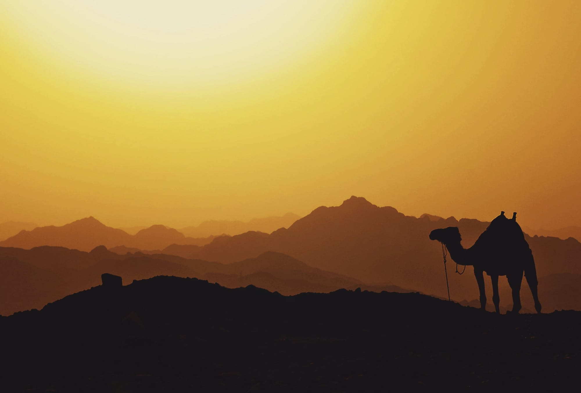 MENA: A Digital Finance Desert Or Oasis?