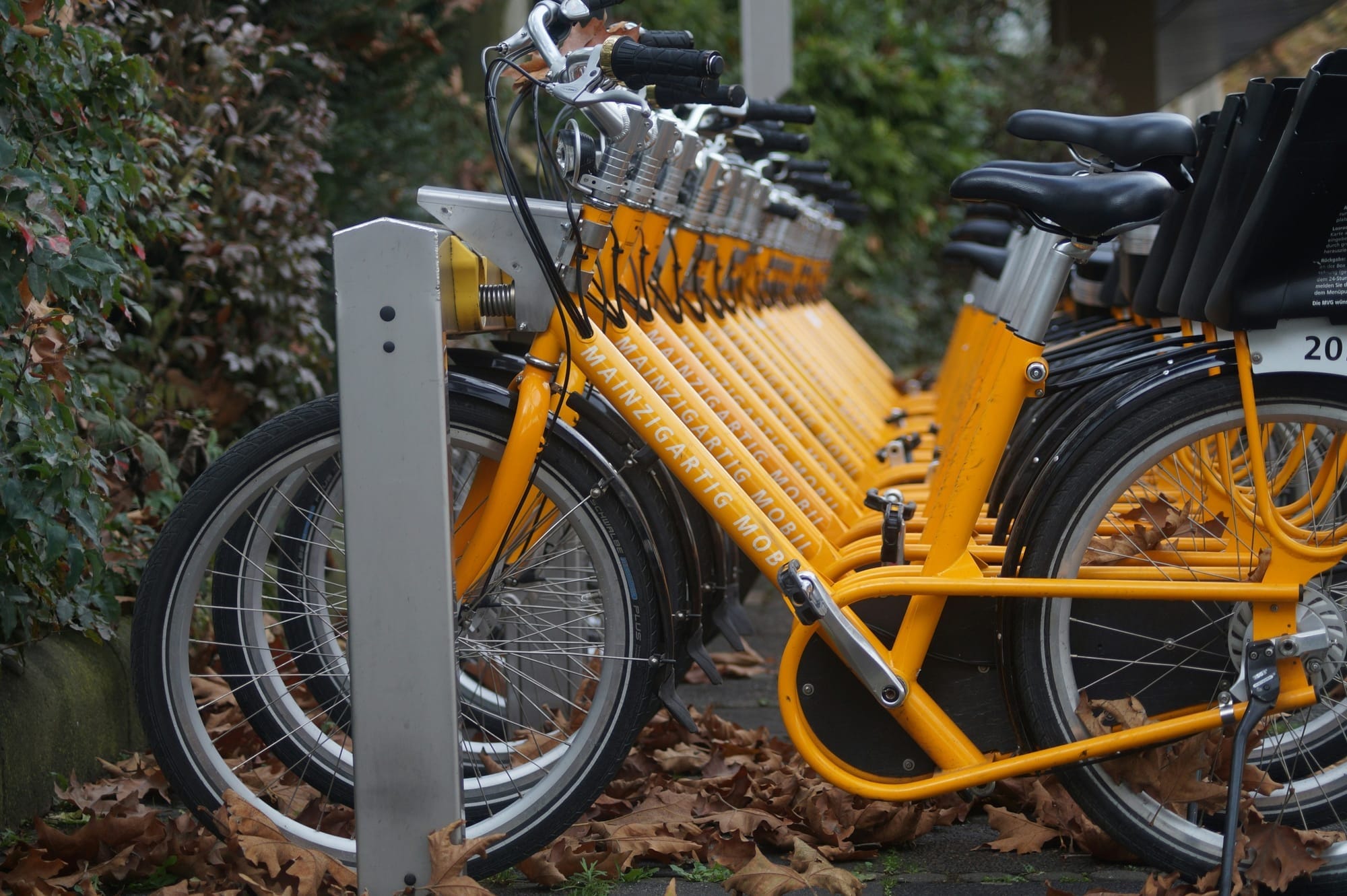 Bike Sharing & The Ecosystem Effect: China Versus The US